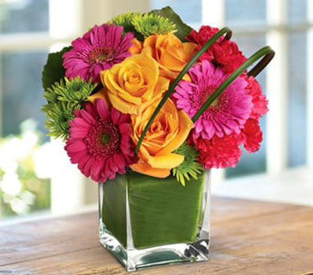 Picture for category Celebration